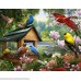 North American Song Birds 4-in-1 Puzzle Pack B07B4MVLP4